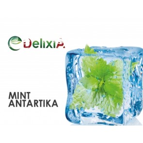 Delixia Aroma Mint Antartika 10 ml